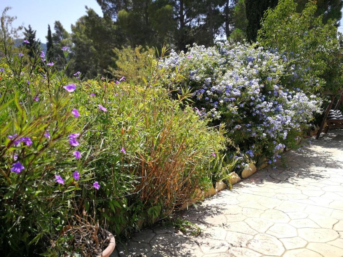Villa Murgia Solanas  Bagian luar foto