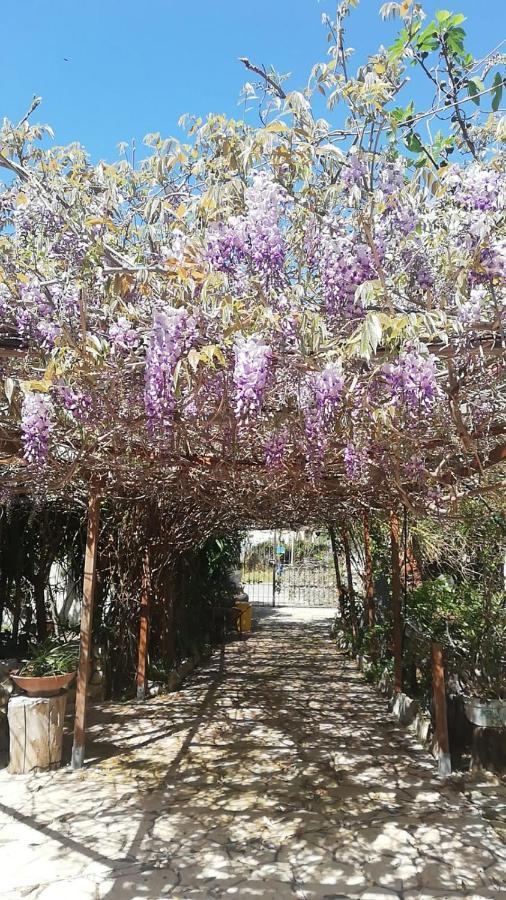 Villa Murgia Solanas  Bagian luar foto